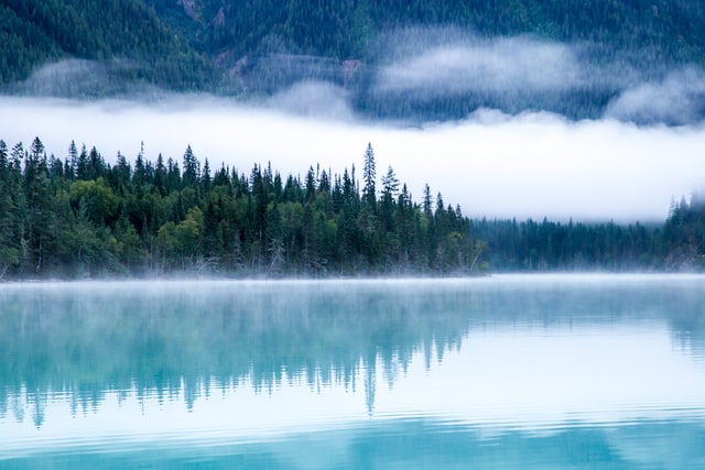 Lake with green nature